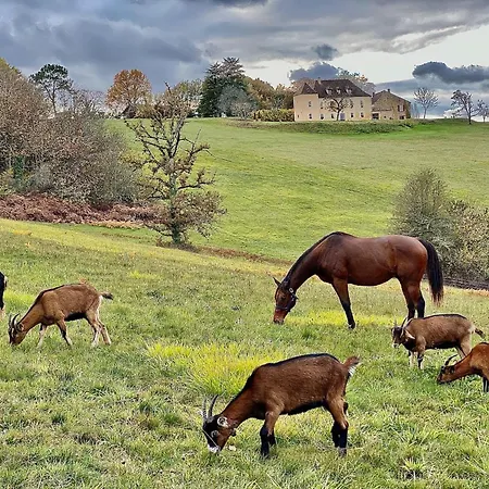 Domaine De Cazal - Gite 2 Pers Avec Piscine - Nature & Calme Pres De Sarlat Feriehus