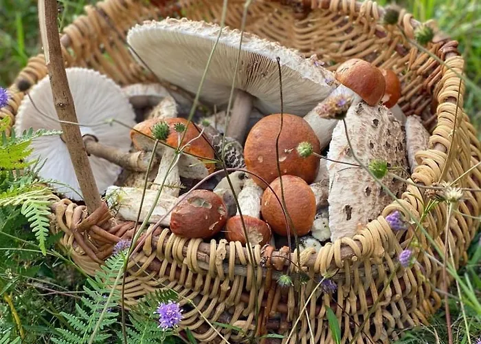 בית נופש Domaine De Cazal - 2 Pers Avec Piscine Au Coeur De 26 Hectares De Nature Preservee