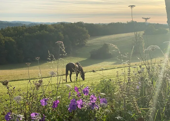 Domaine De Cazal - 2 Pers Avec Piscine Au Coeur De 26 Hectares De Nature Preservee סן-סיפרייה